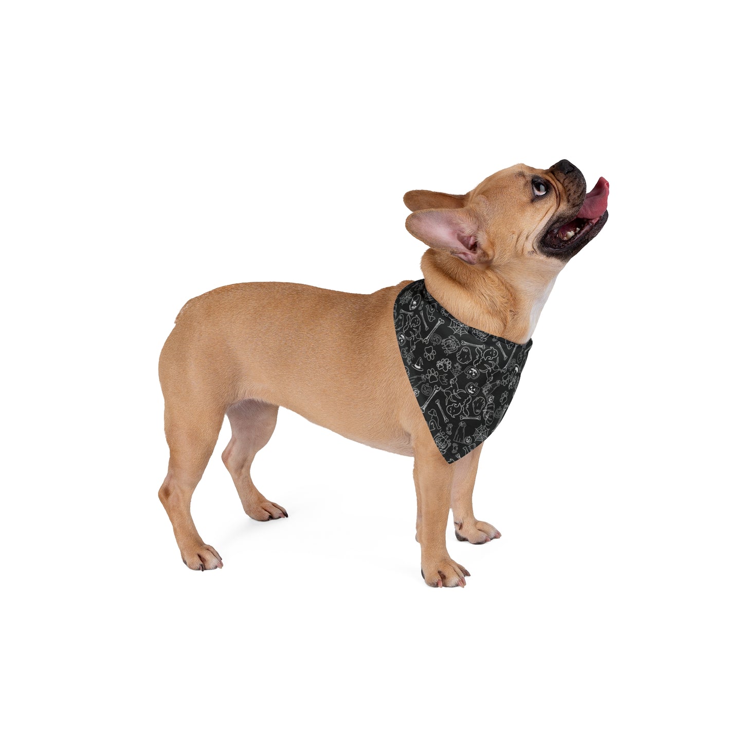 Halloween Pattern Black Pet Bandana