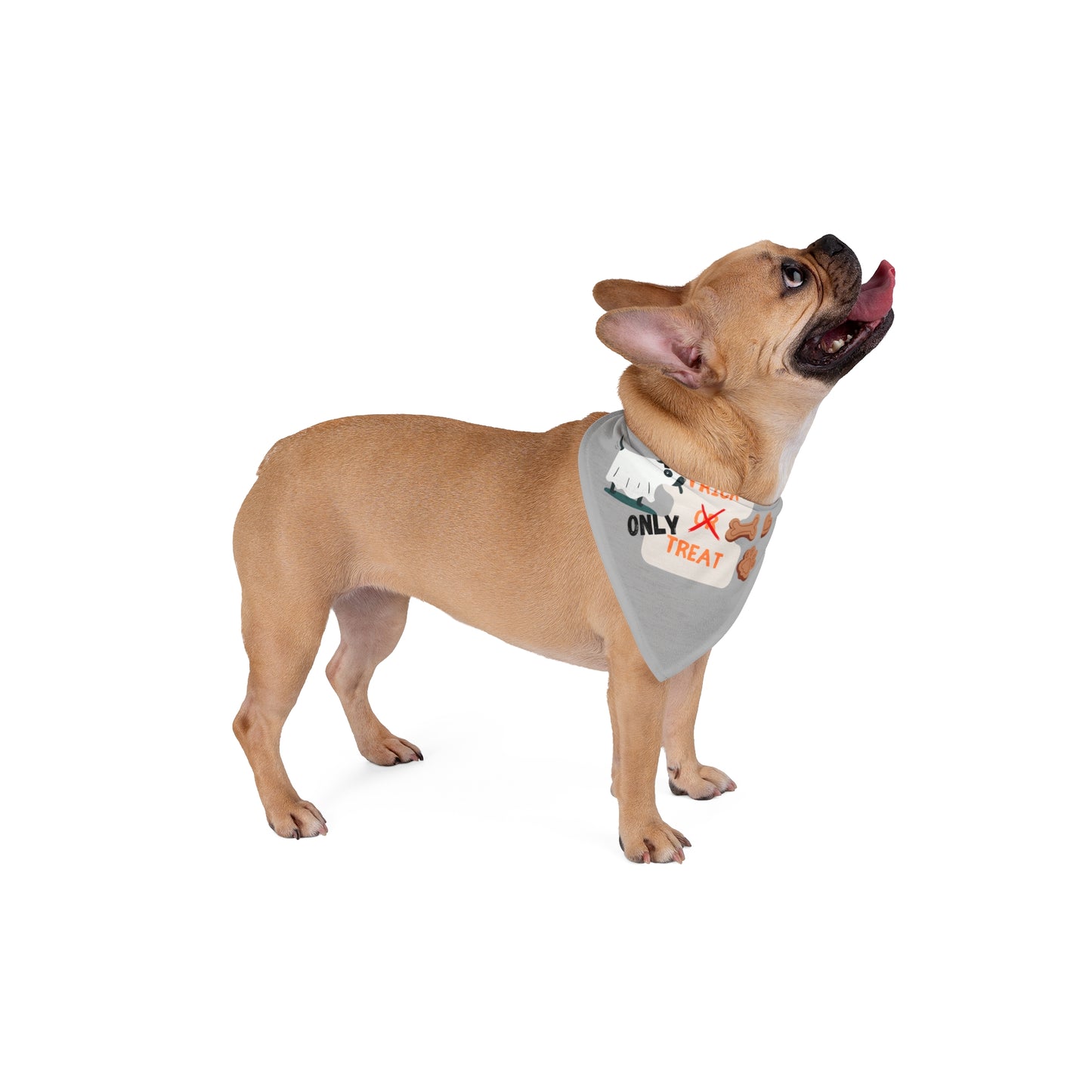 No Trick. Only Treat!  Large Pet Bandana