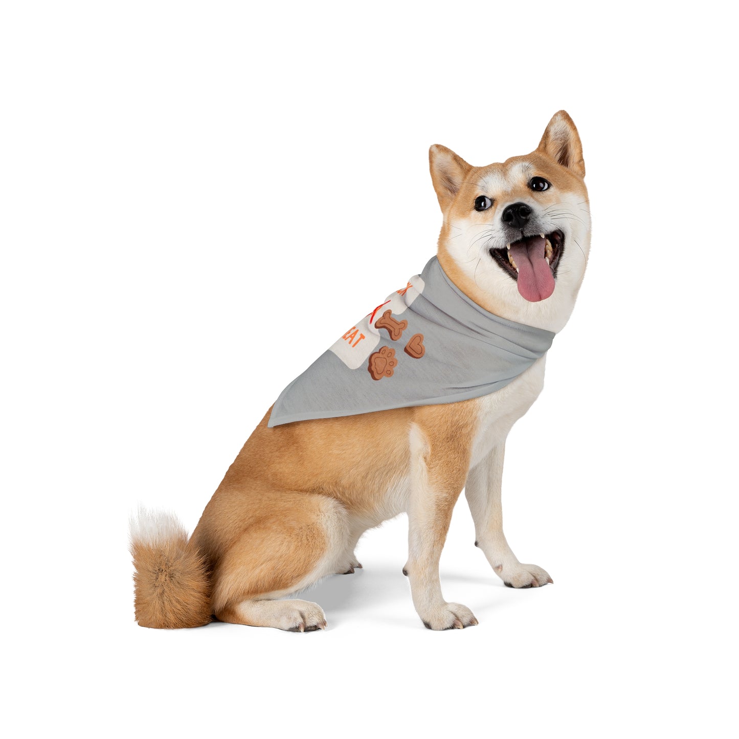 No Trick. Only Treat!  Large Pet Bandana