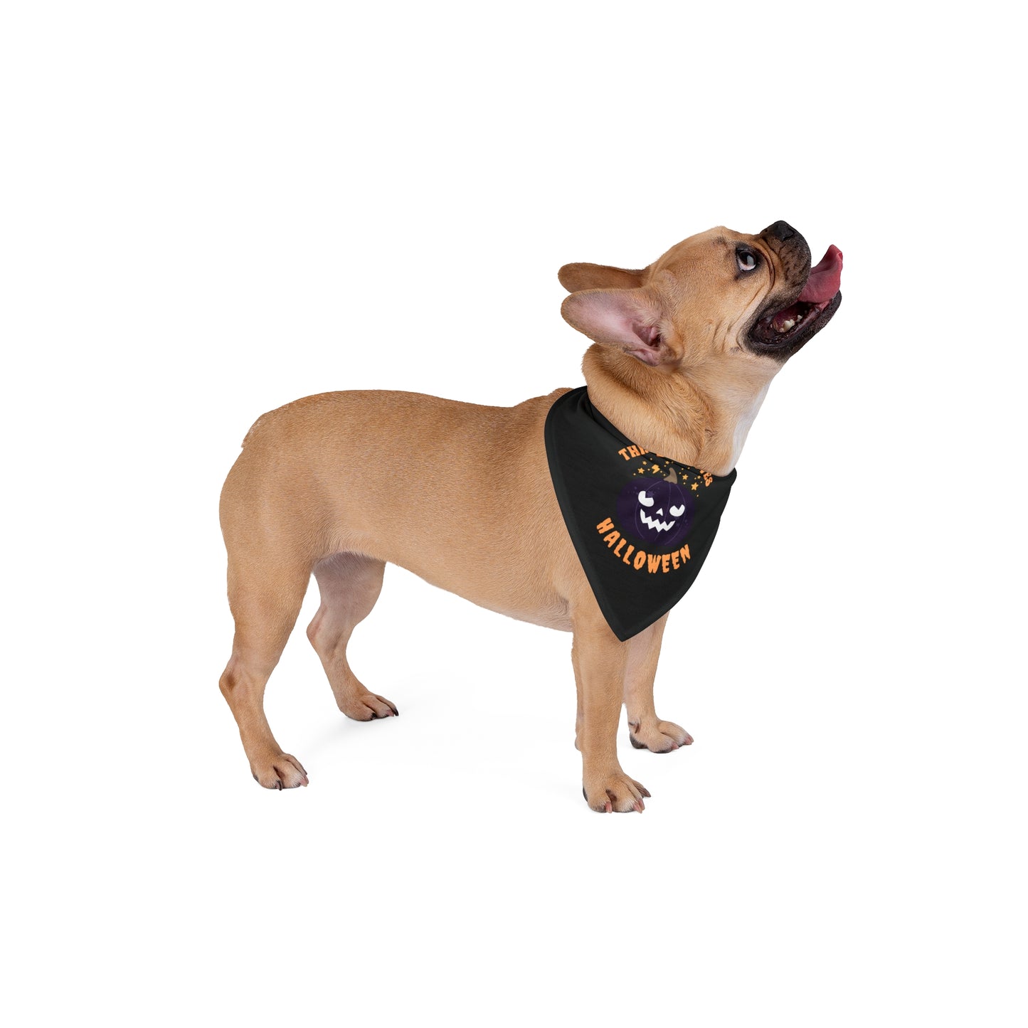 This Dog Loves Halloween Large Pet Bandana