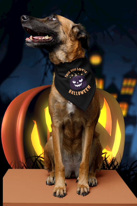 This Dog Loves Halloween Large Pet Bandana