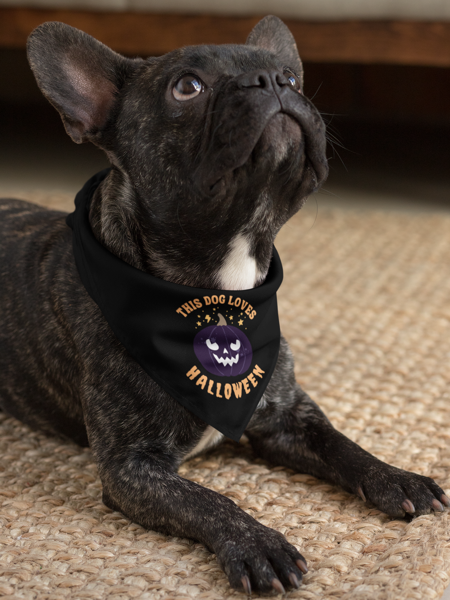 This Dog Loves Halloween Large Pet Bandana