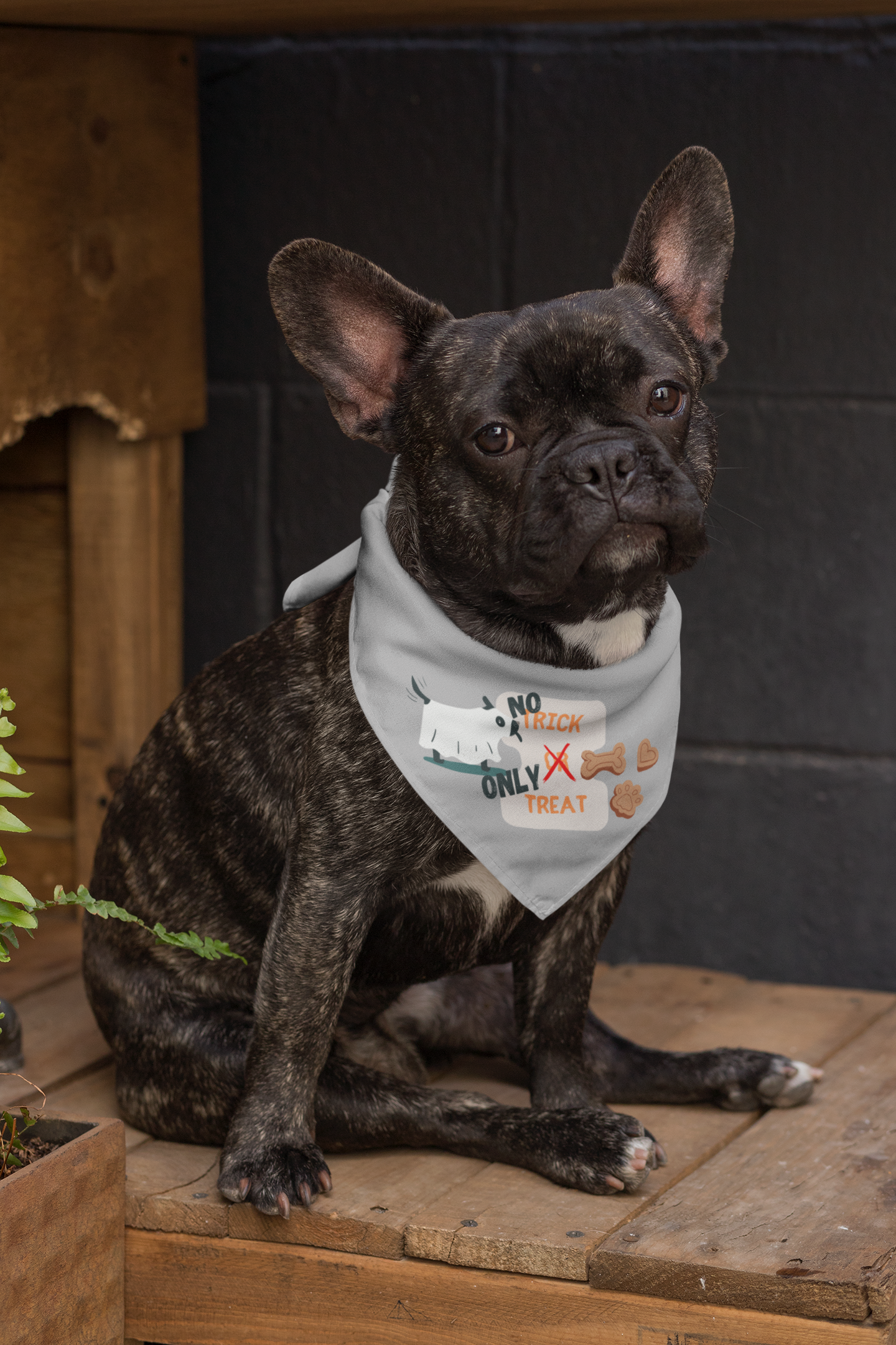 No Trick. Only Treat!  Large Pet Bandana