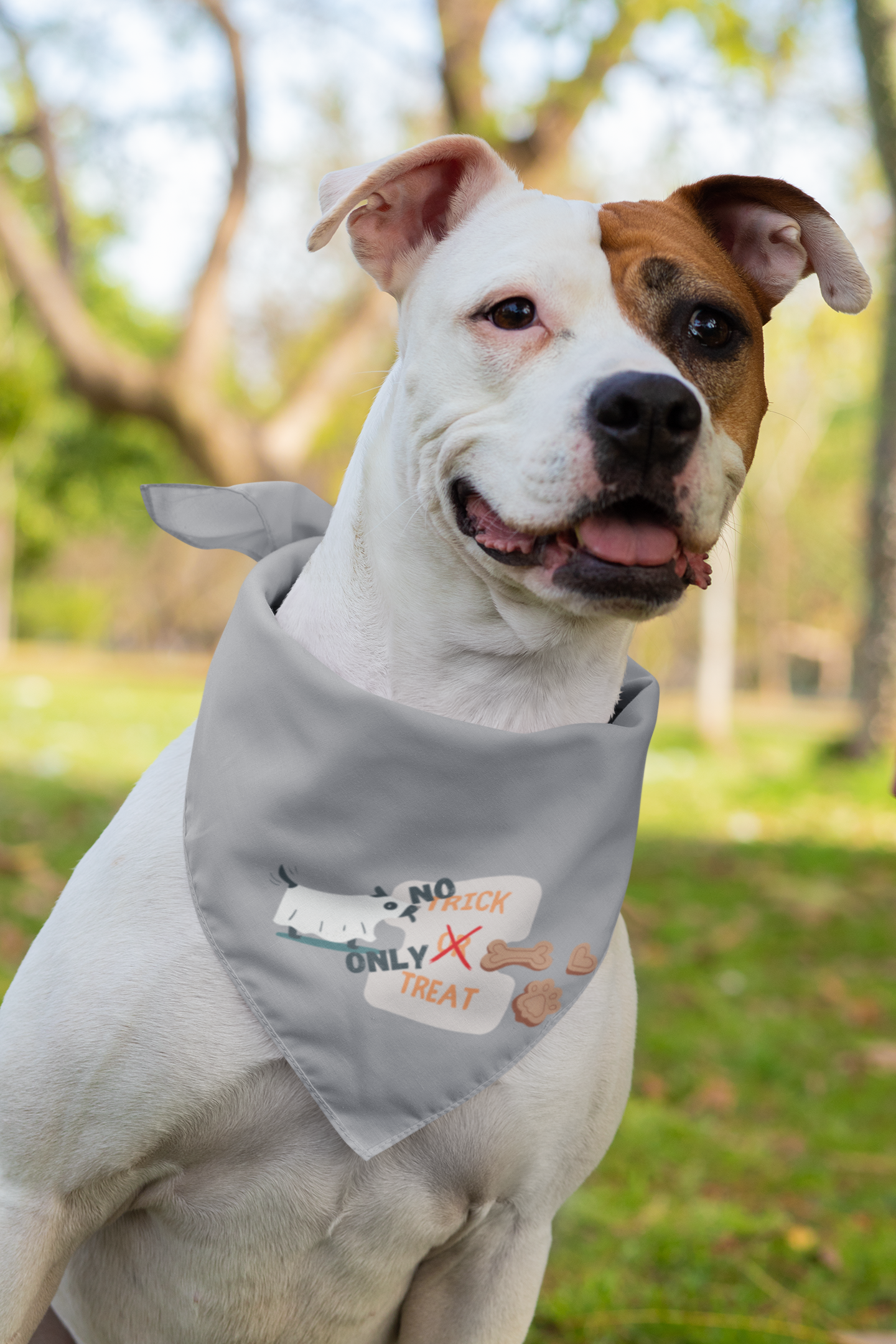 No Trick. Only Treat!  Large Pet Bandana