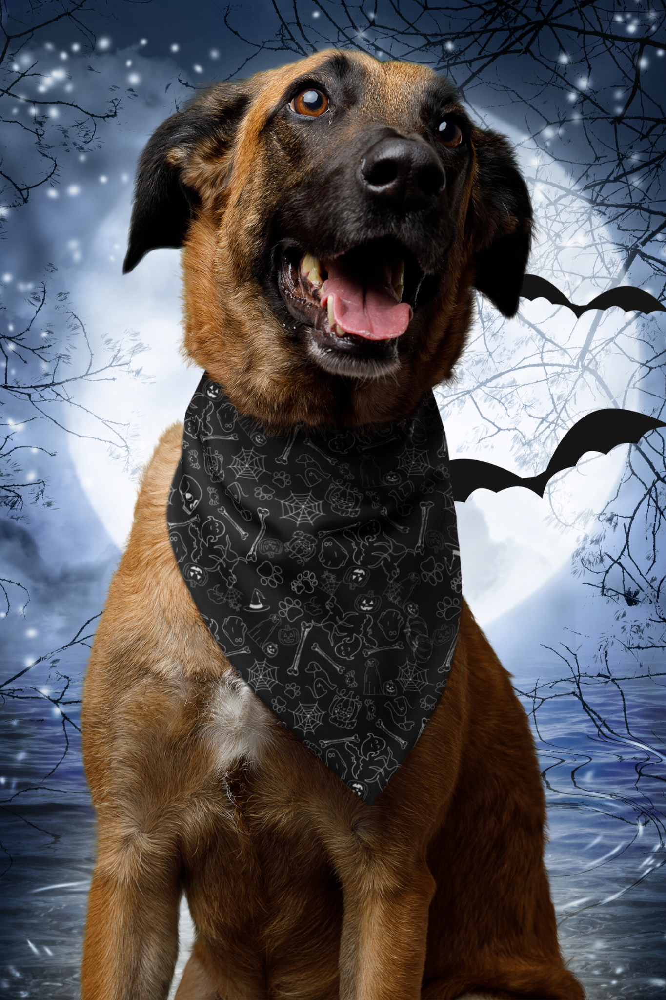 Halloween Pattern Black Pet Bandana